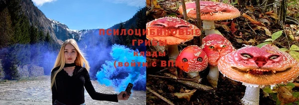spice Абаза
