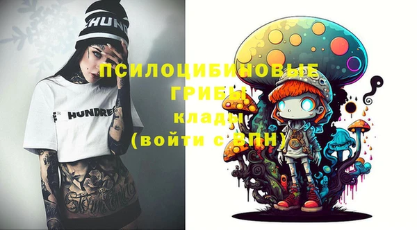 герыч Алексин