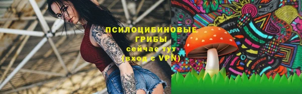 герыч Алексеевка