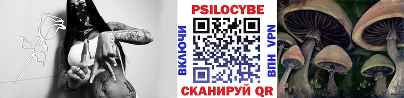 Псилоцибиновые грибы мицелий  блэк спрут ONION  Анадырь 